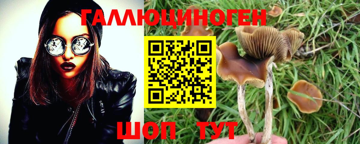 Лесной  Галлюциногенные грибы MAGIC MUSHROOMS  Вход с VPN 