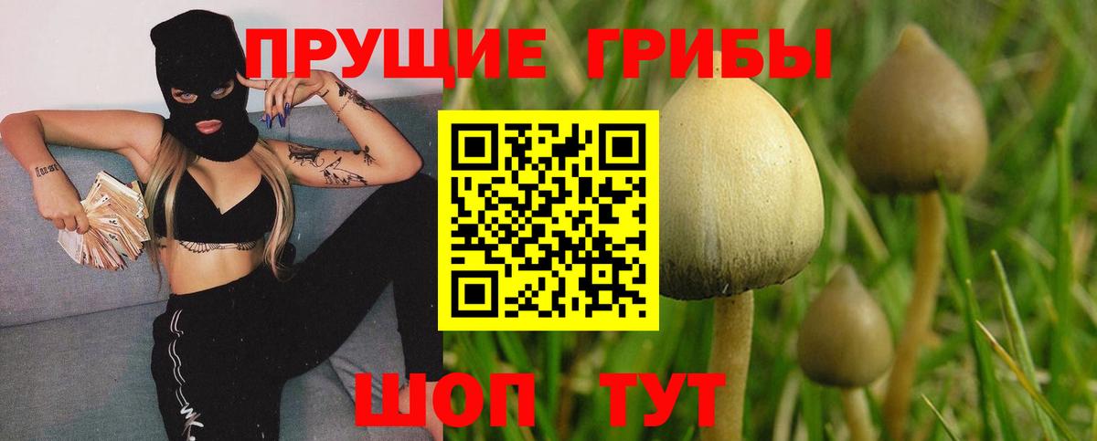 Псилоцибиновые грибы Magic Shrooms Лесной